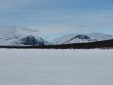 Fjelds 1