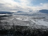 Fjelds 2