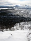 Fjelds 3