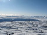 Fjelds 5