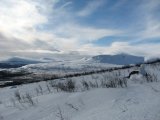 Fjelds 1