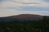 Evening 12