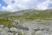 Fjelds 3
