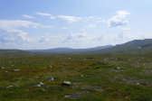 Fjelds 5