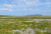 Plateau 1