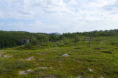 Ravine 1
