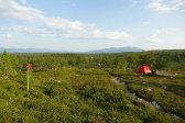 Tent 2