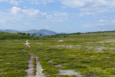 Trail 2
