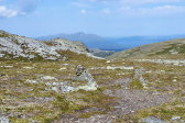 Trail 6