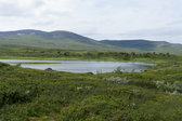 Anarisstugtjärnen 1