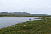 Anaristjärnarna 4
