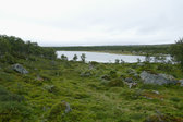 Anaristj�rnarna 5