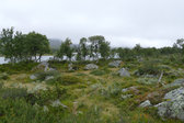 Anaristj�rnarna 6