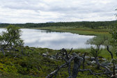 Lägertjärnen 5