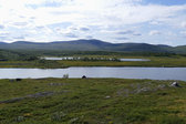 S�nner-L�ngtj�rnen & Daaktege 1