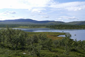 S�nner-L�ngtj�rnen 14