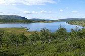 S�nner-L�ngtj�rnen 15