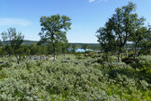 S�nner-L�ngtj�rnen 1