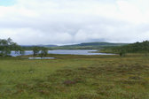 S�nner-L�ngtj�rnen 20