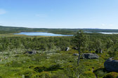 S�nner-L�ngtj�rnen 2