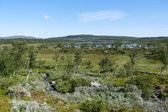 S�nner-L�ngtj�rnen 3