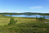 S�nner-L�ngtj�rnen 4