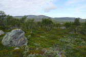 Stor-Anahögen 9