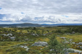 Fjelds 1
