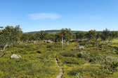 Trail 1