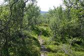 Trail 2