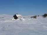 Gsn shelter 1