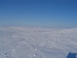 Fjelds 1