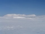 Fjelds 3