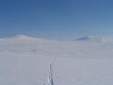 Fjelds 5