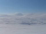 Fjelds 6