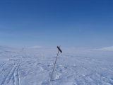 Fjelds 7