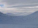 Fjelds 1