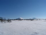 Fjelds 2