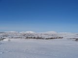 Fjelds 1