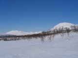 Fjelds 3