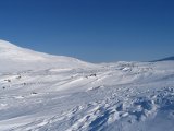 Fjelds 4