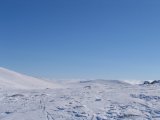 Fjelds 1