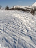 Snow 1
