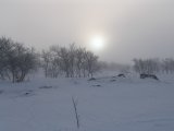 Sun 2