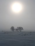 Sun 3