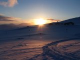 Sun 15