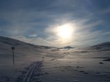 Sun 4