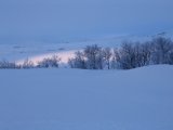 Sun 1