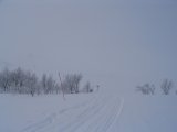Trail 1
