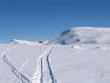 Trail 4